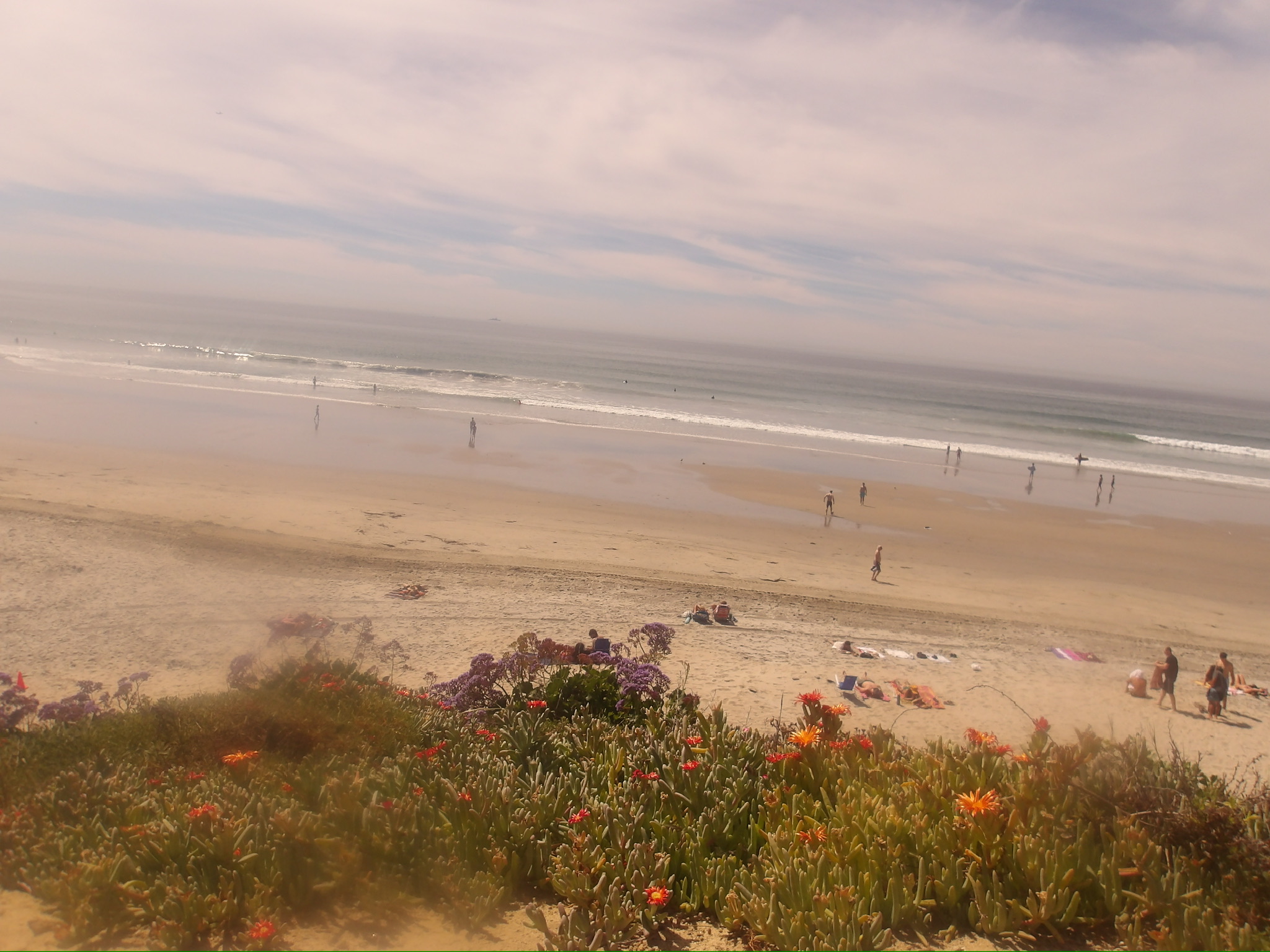 CALIFORNIA SPRING 26 photo